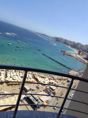ميامى و العصافرة